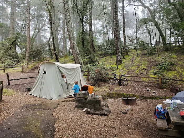 Pantoll Campground Picture 7