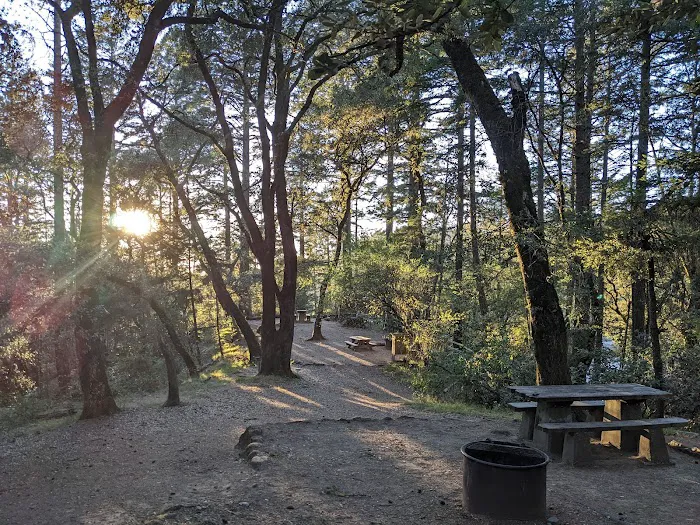 Pantoll Campground Picture 1
