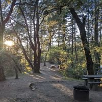 Pantoll Campground ico