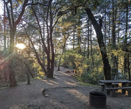 Pantoll Campground