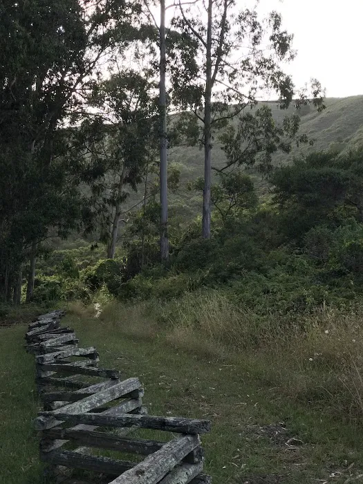 Haypress Campground Picture 5