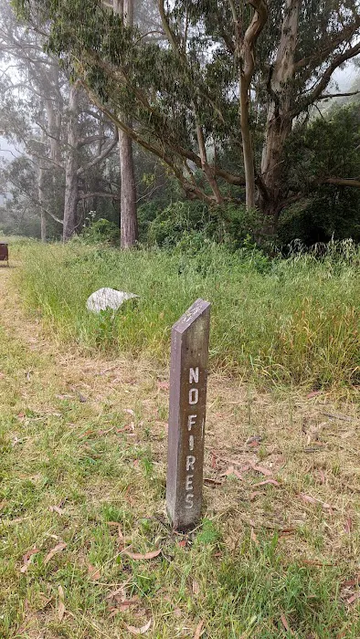 Haypress Campground Picture 7