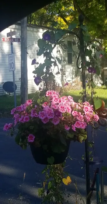 Queen Anne Courts Picture 2