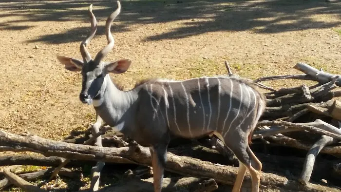 Sunny Acres Manufactured Home Community Picture 4