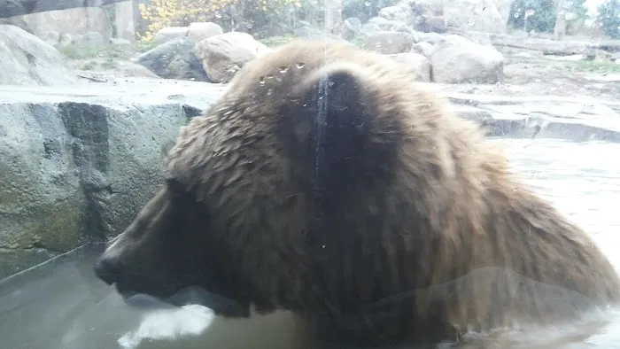 Sunny Acres Manufactured Home Community Picture 5