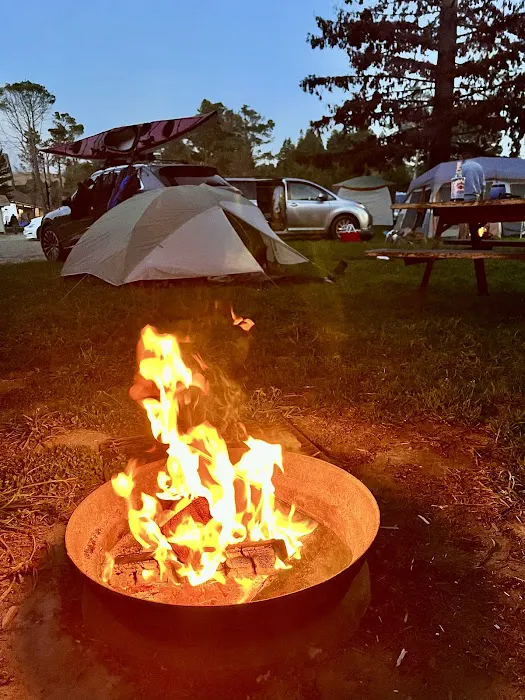 Olema Campground Picture 4