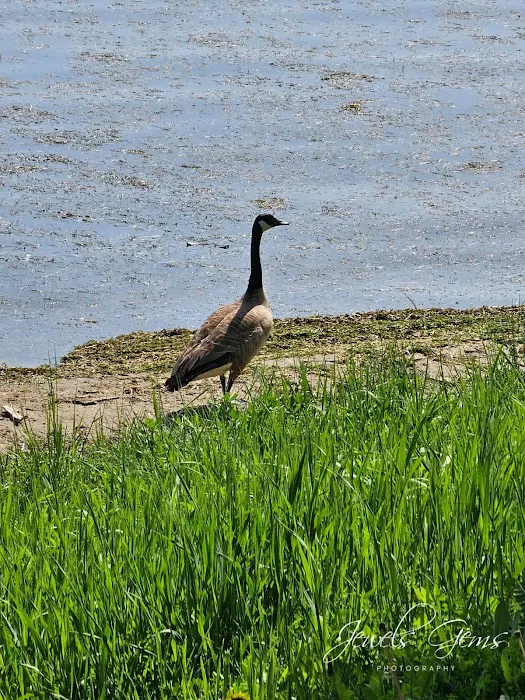 Summer Breeze Resort Picture 4