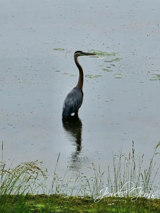 Summer Breeze Resort Picture 2