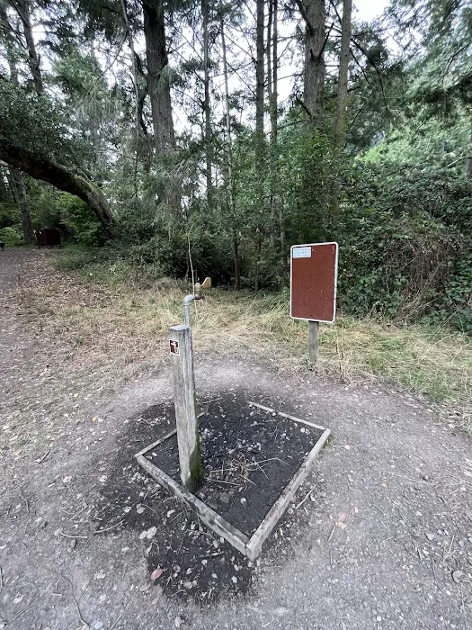 Glen Campground Picture 5