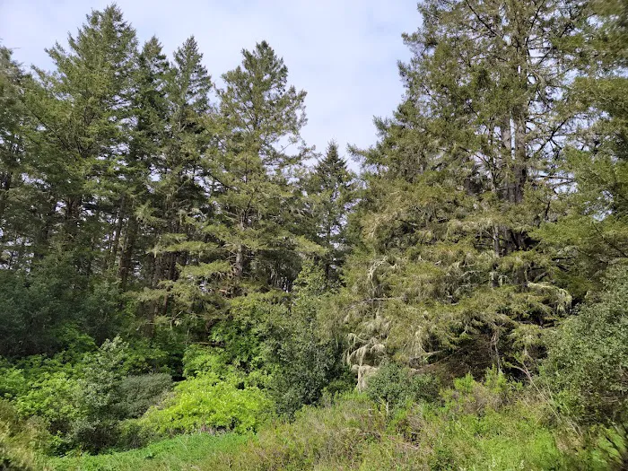 Glen Campground Picture 7