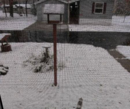 Northland Mobile Manor