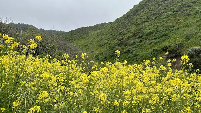 Wildcat Campground Picture 4