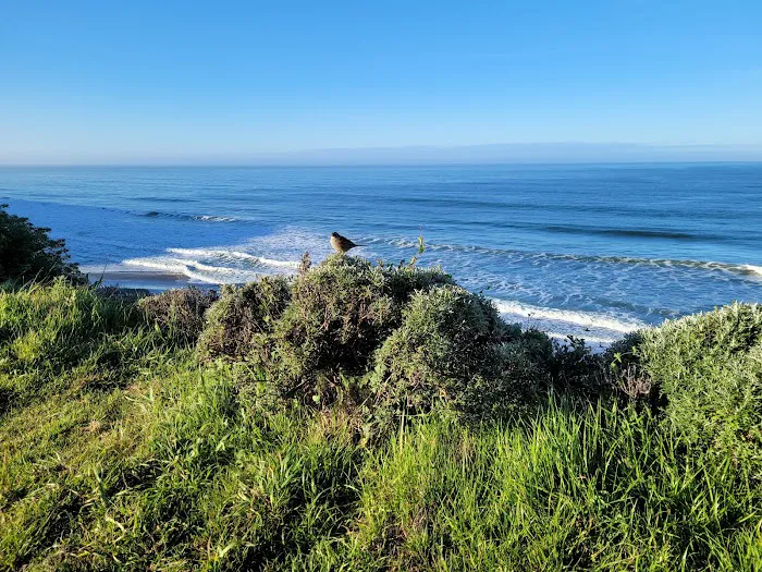 Wildcat Campground Picture 1