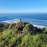 Wildcat Campground ico