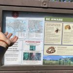 Hawk Ridge Group Camp