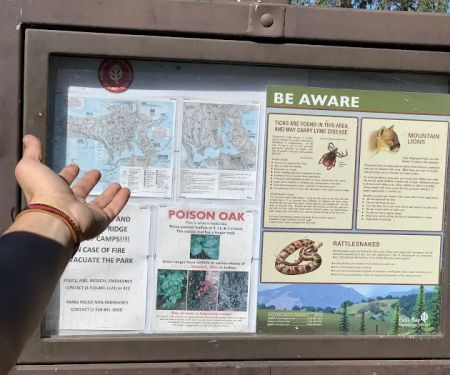 Hawk Ridge Group Camp