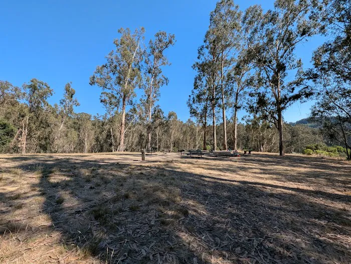 Lookout Ridge Group Camp Picture 7