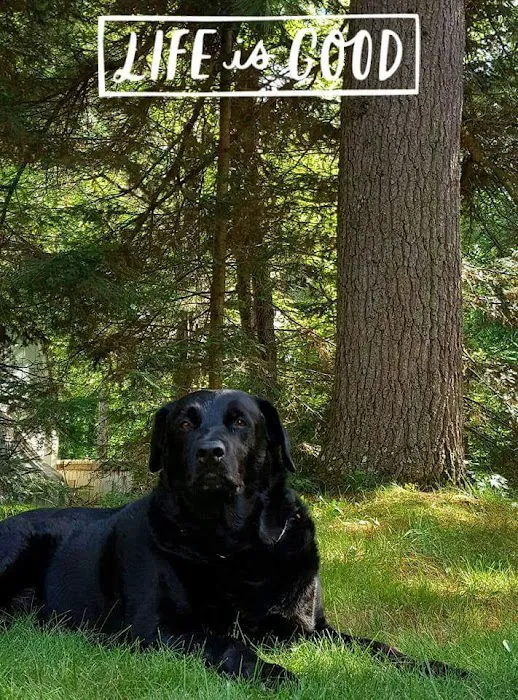 Evergreen Mobile Estates Picture 1