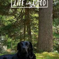 Evergreen Mobile Estates ico