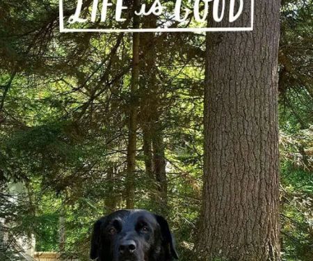 Evergreen Mobile Estates