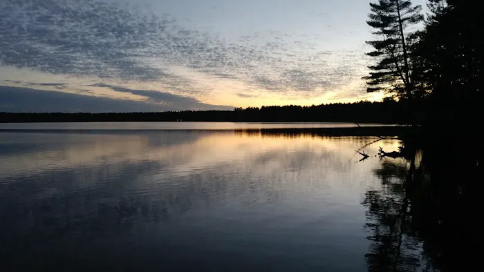 Lofty Pines RV Park Picture 6