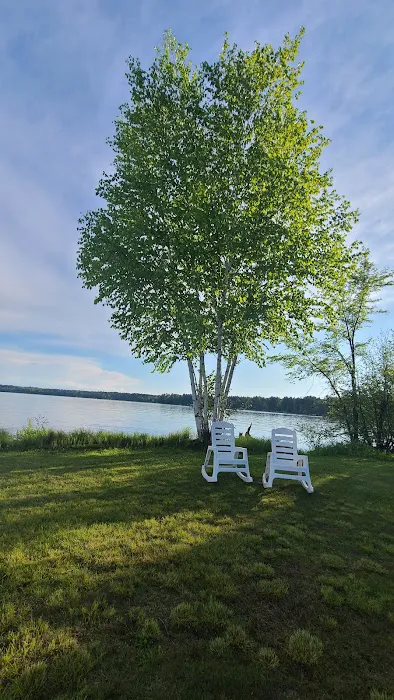 Lofty Pines RV Park Picture 3