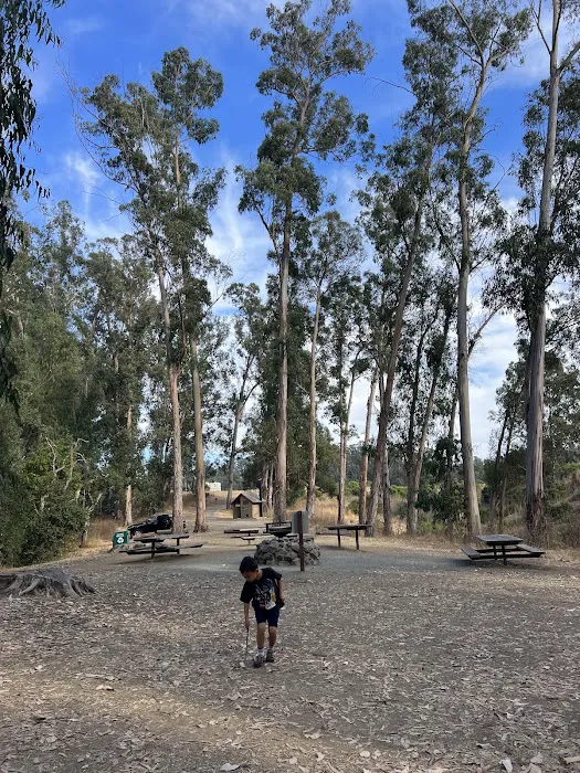 El Venado Campground Picture 4