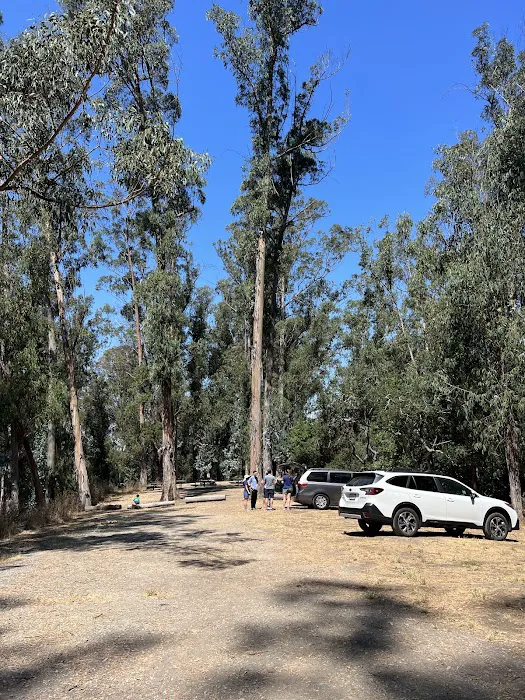 El Venado Campground Picture 3