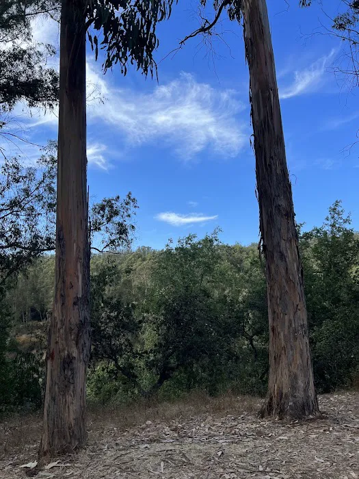 El Venado Campground Picture 2