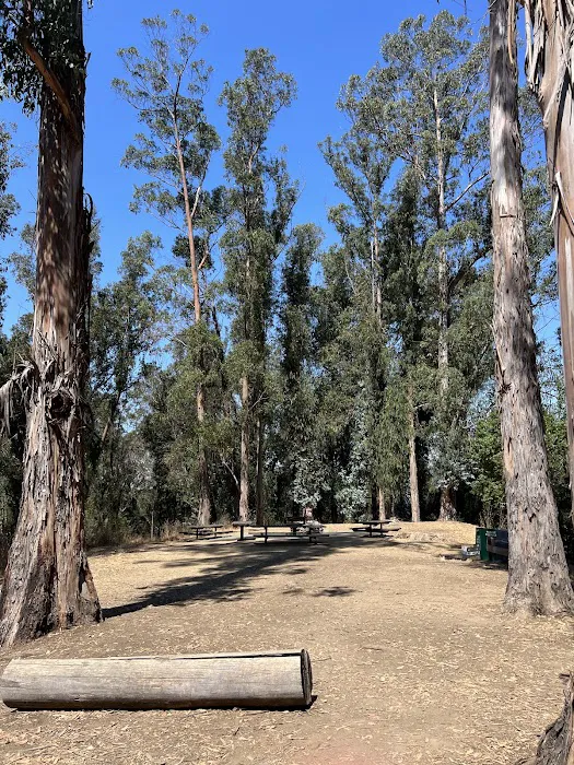 El Venado Campground Picture 1