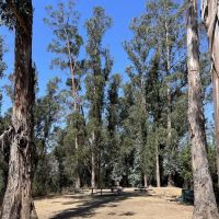 El Venado Campground ico