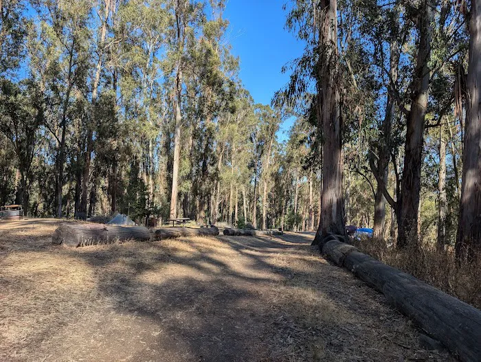 Campground Site 13 Picture 4