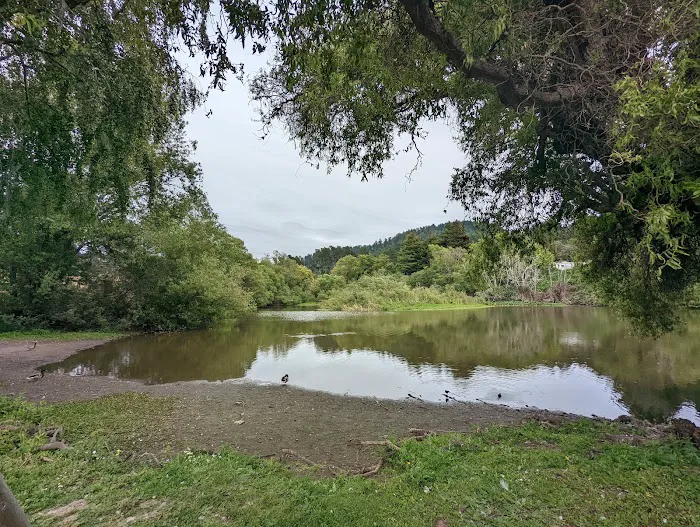 Casini Ranch Family Campground Picture 8