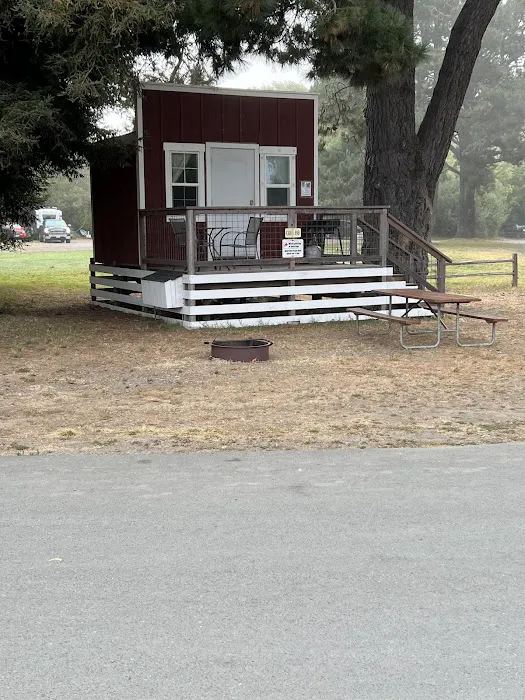 Casini Ranch Family Campground Picture 5