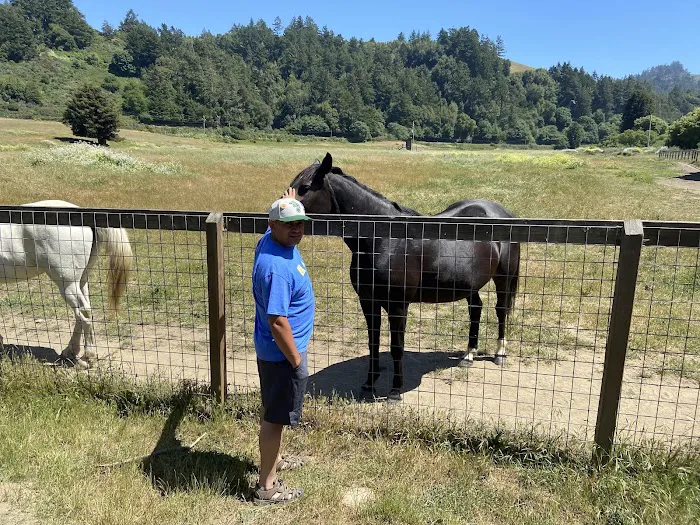 Casini Ranch Family Campground Picture 4