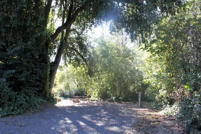 Duncans Mills Camping Club Picture 9