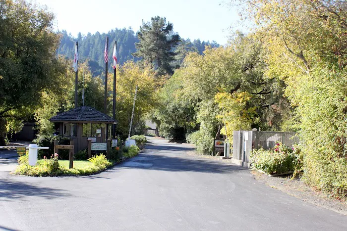 Duncans Mills Camping Club Picture 7