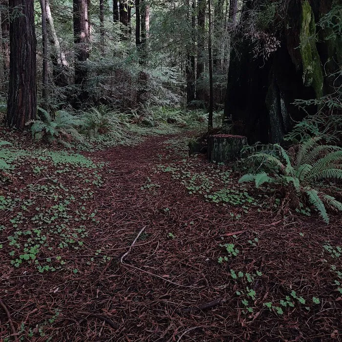 Willow Creek Environmental Campground Picture 2