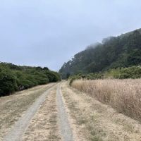 Willow Creek Environmental Campground ico