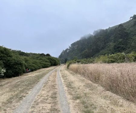 Willow Creek Environmental Campground