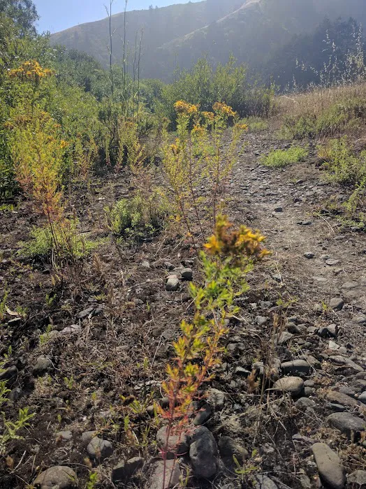 Willow Creek Environmental Campground Picture 7