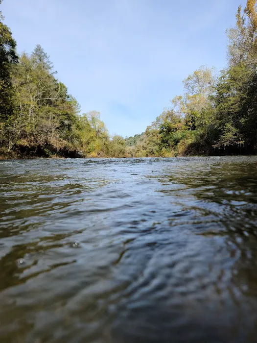 Thousand Trails Russian River Picture 7