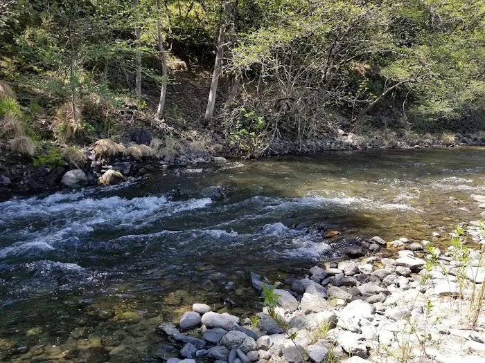 Thousand Trails Russian River Picture 9