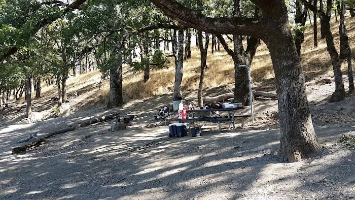 Thumb Camp Picture 6