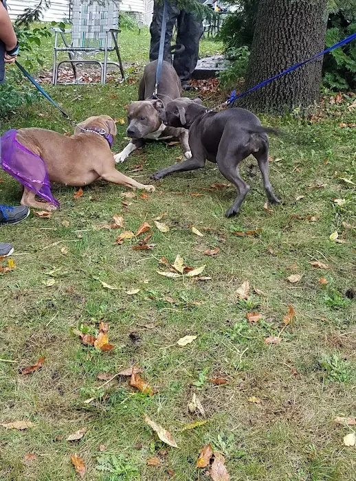 Cedar Knolls Picture 7