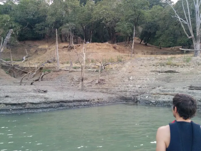 Loggers Picture 4