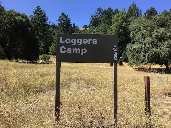 Loggers Picture 7