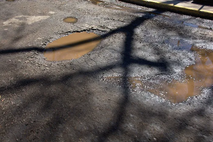 Twenty-Nine Pines Manufactured Home Community Picture 9