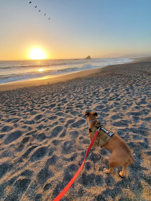 Wright's Beach Campground Picture 10