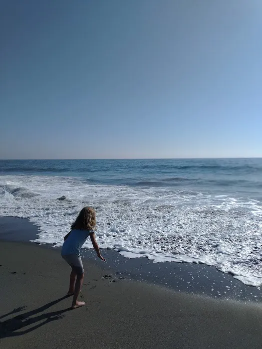 Wright's Beach Campground Picture 7